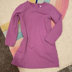 Purple Primary Sweatshirt Dress